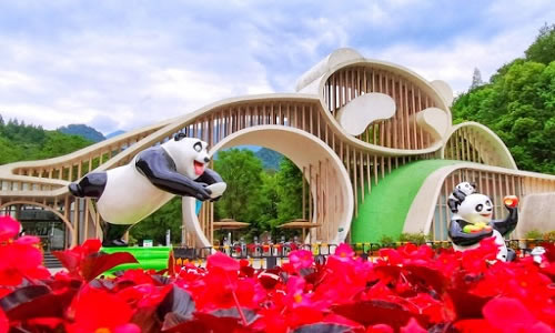 3-Days Chengdu Tour For Panda Fans with Chengdu City Tour & Dujiangyan Giant Panda Base Volunteering