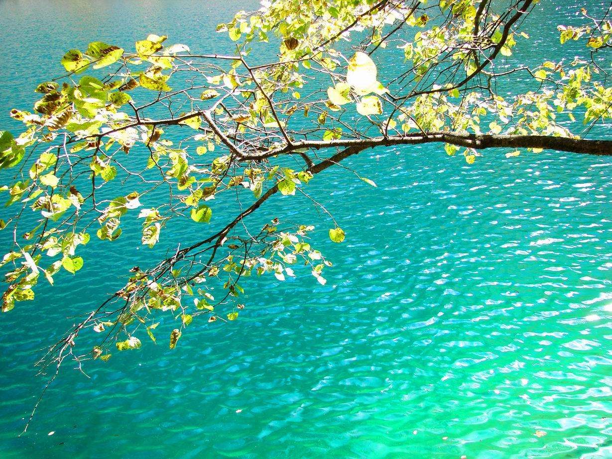 Jiuzhaigou_8.jpg Jiuzhaigou_8.jpg