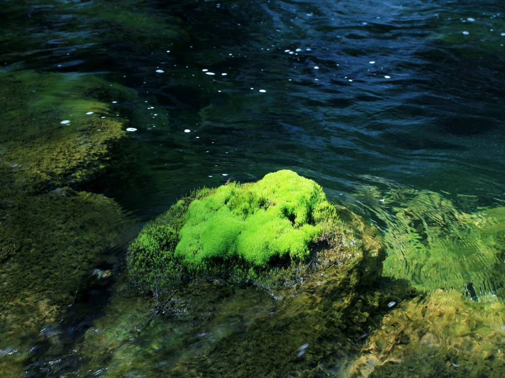Jiuzhaigou_6.jpg Jiuzhaigou_6.jpg
