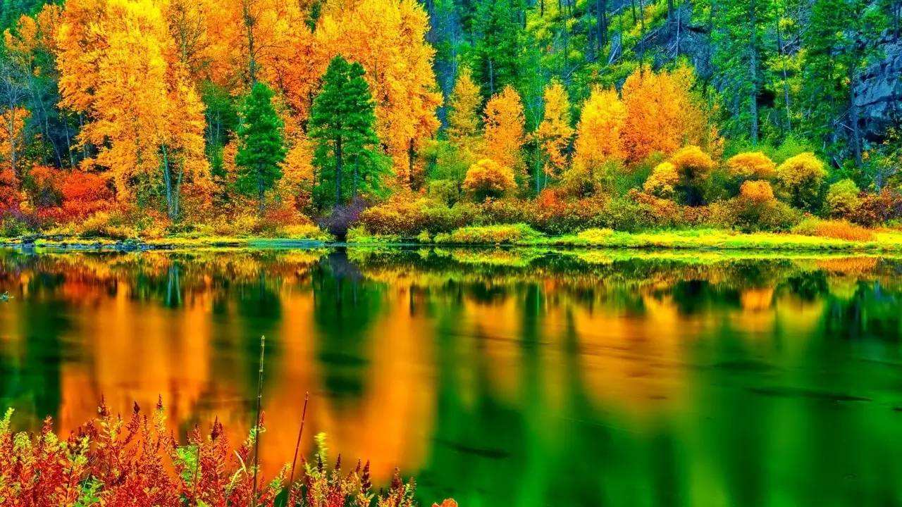Jiuzhaigou.jpg Jiuzhaigou.jpg