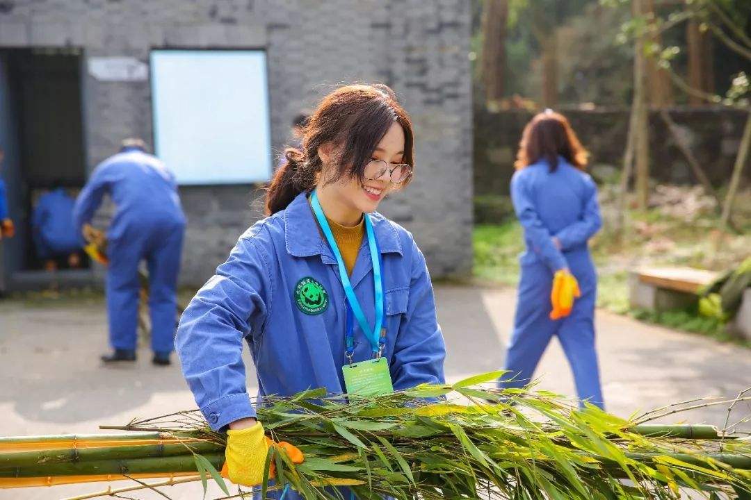 Bifengxia_Panda_Volunteer.jpg Bifengxia_Panda_Volunteer.jpg