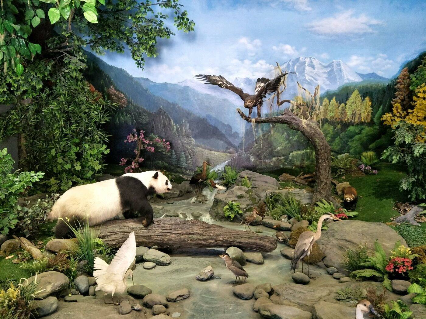 Wolong_Panda_Museum.jpg Wolong_Panda_Museum.jpg