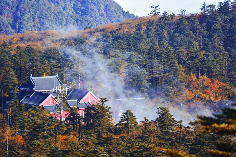 Autumn-01 Autumn-01