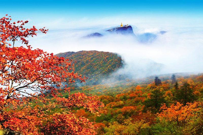 Autumn Autumn